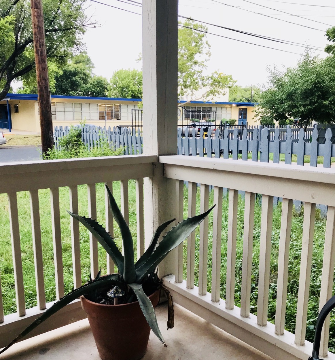 A pale blue picket fence seen from a porch in an Austin neighborhood.