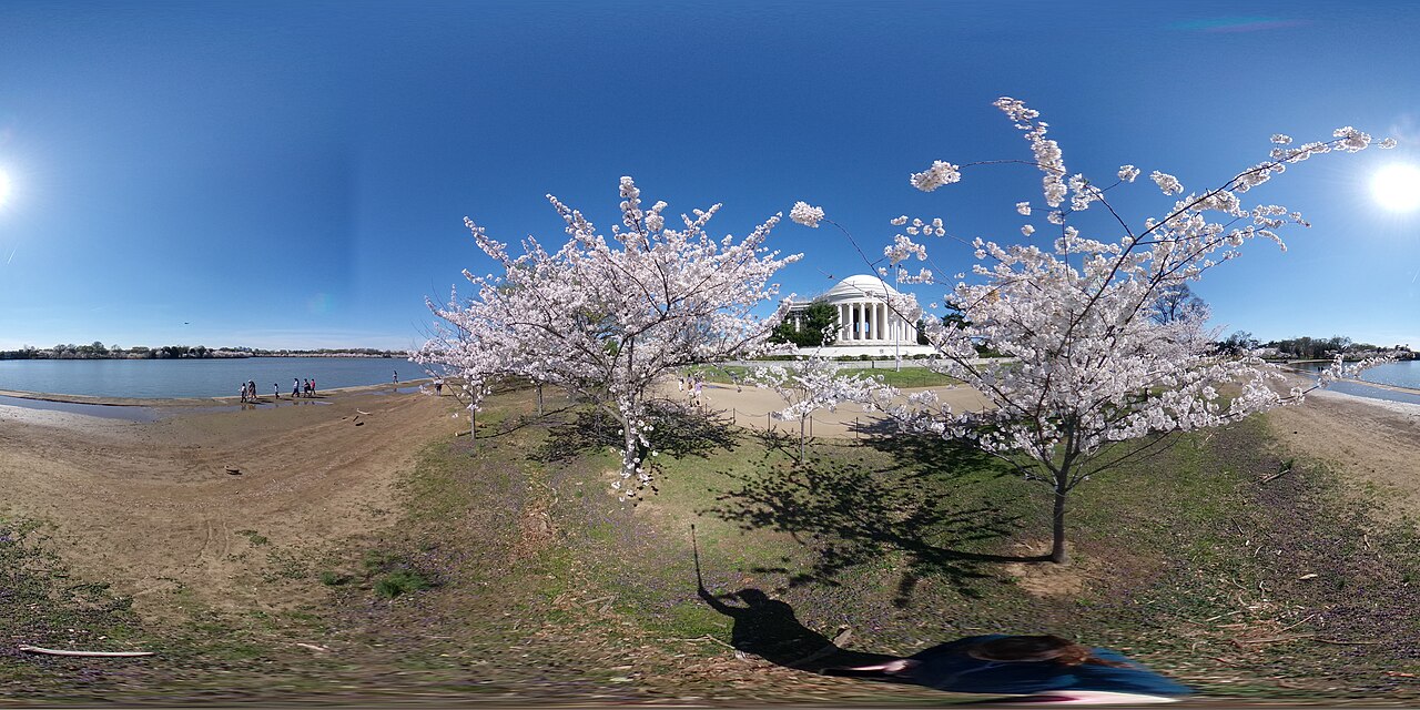 Cherry blossoms beside the Jefferson Memorial, NPS photo
