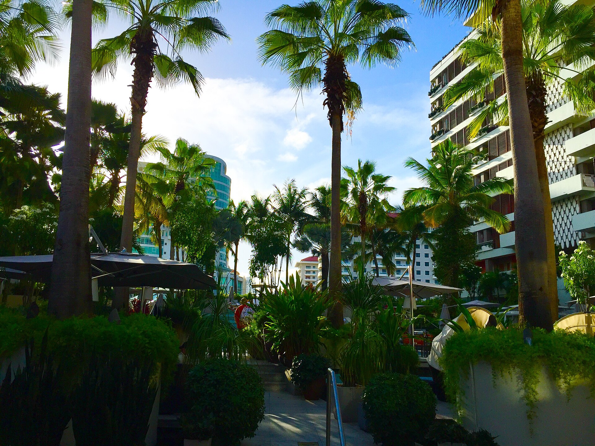 Palms and tropical architecture at La Concha Resort in Condado.